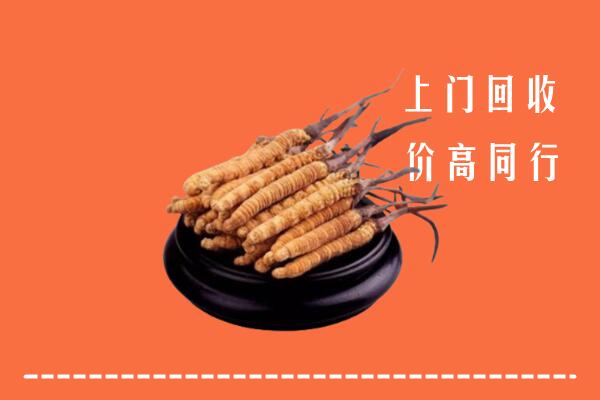 高价求购：宽城区回收散虫草