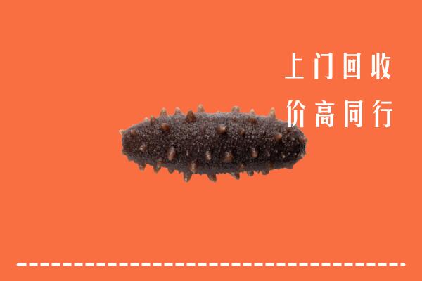 高价求购：宽城区回收海参