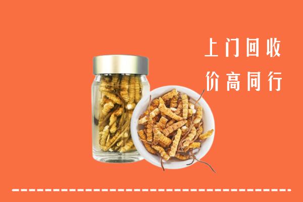 宽城区回收冬虫夏草